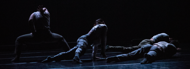 LANDINGS CaDA 2019 creditos Hugo David 637x232