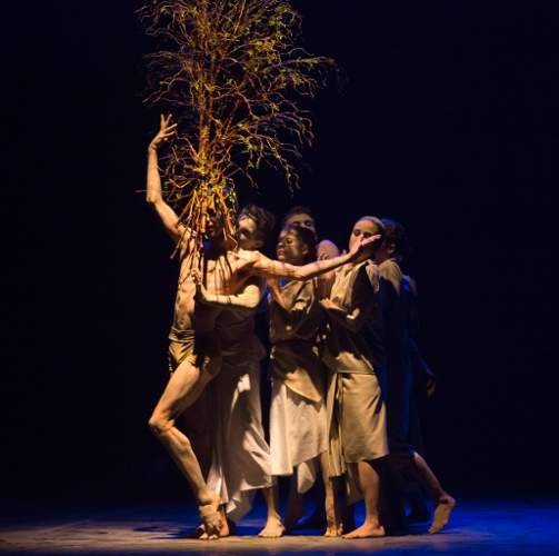 MUITO CHAO Ca Danca Almada foto Rodrigo de Souza 1 qd