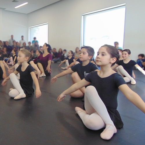 Aulas abertas Cursos livres CaDA Escola 201920 500x500