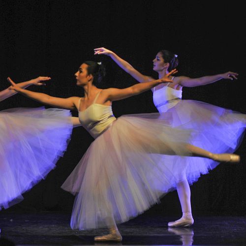 CaDA Comemoracao Dia Mundial Danca 2021 creditos Pedro Soares 500x500