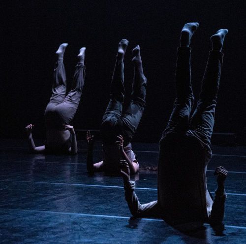 Landings foto 1 CaDA 2019 creditos Hugo David 500x500