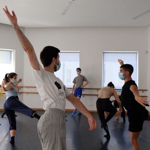 copia RGB CaDA foto Led Silhouette 500x500