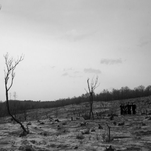 The Art of Losing videodanca CaDA 2018 creditos Mares do Sul 2